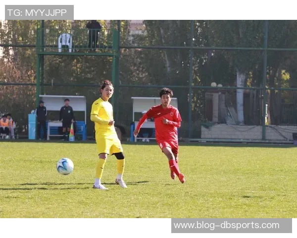 足球宁夏:探索宁夏足球的崛起与未来发展之路 足球宁夏:探索宁夏足球的崛起与未来发展之路
